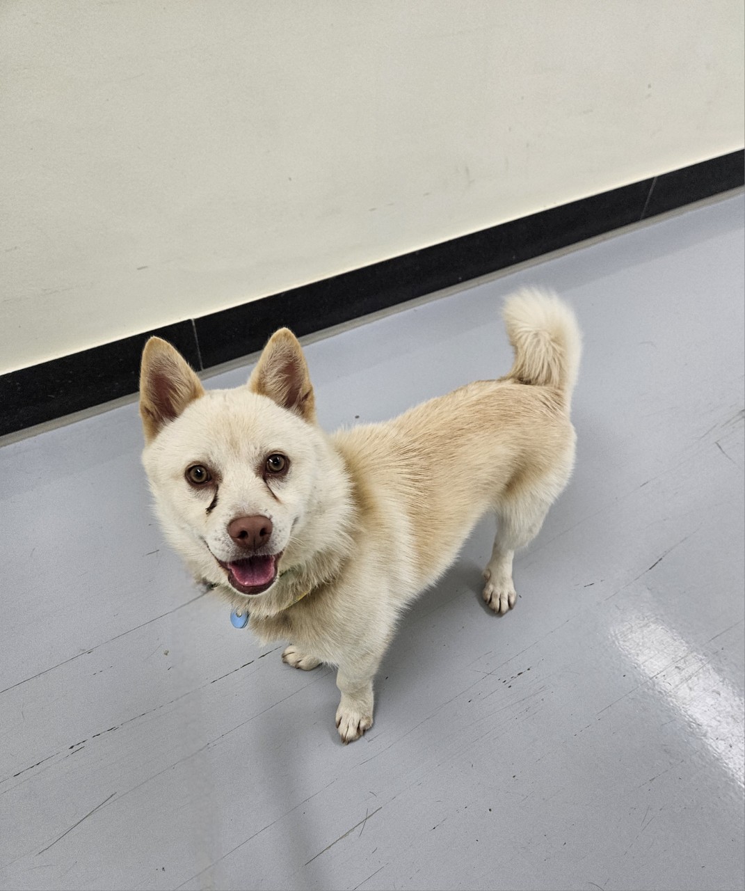 아산동물복지지원센터_444452202502146